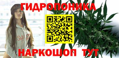 ешки Анапа