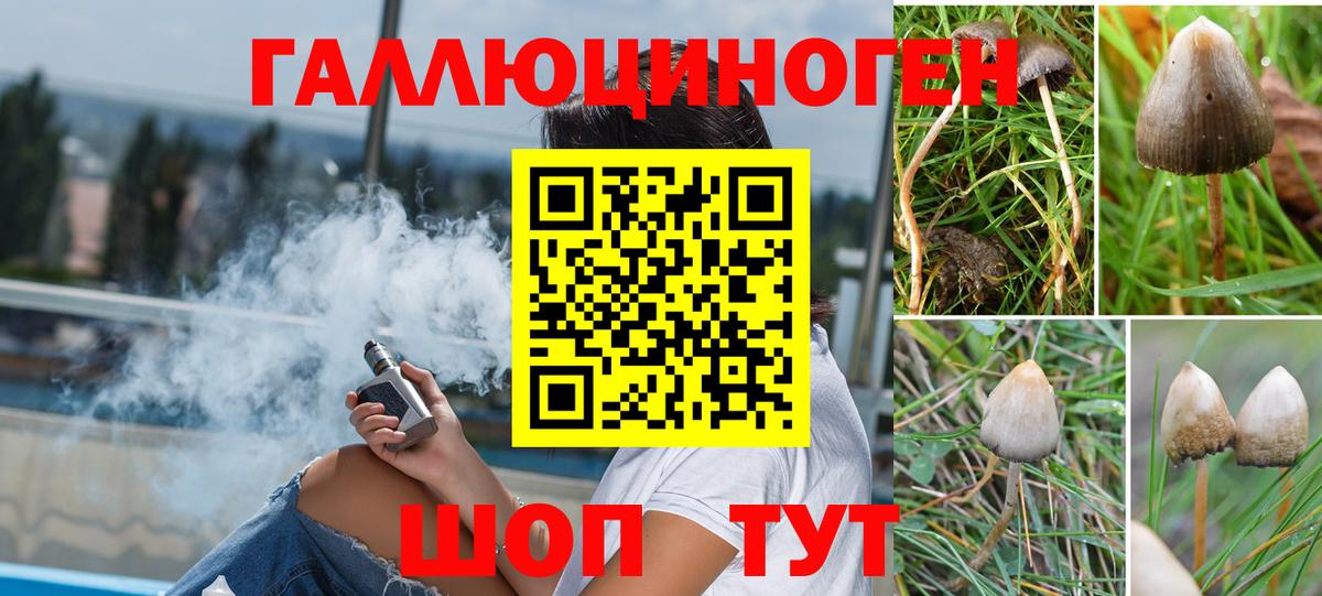 Псилоцибиновые грибы GOLDEN TEACHER  Галлюциногенные грибы мицелий  Зеленокумск  Вход с VPN 