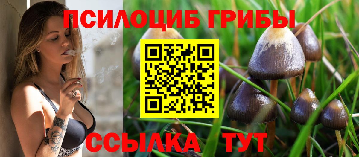 Псилоцибиновые грибы Magic Shrooms Зеленокумск
